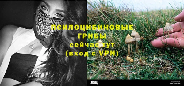 PSILOCYBIN Баксан