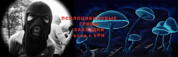 PSILOCYBIN Баксан